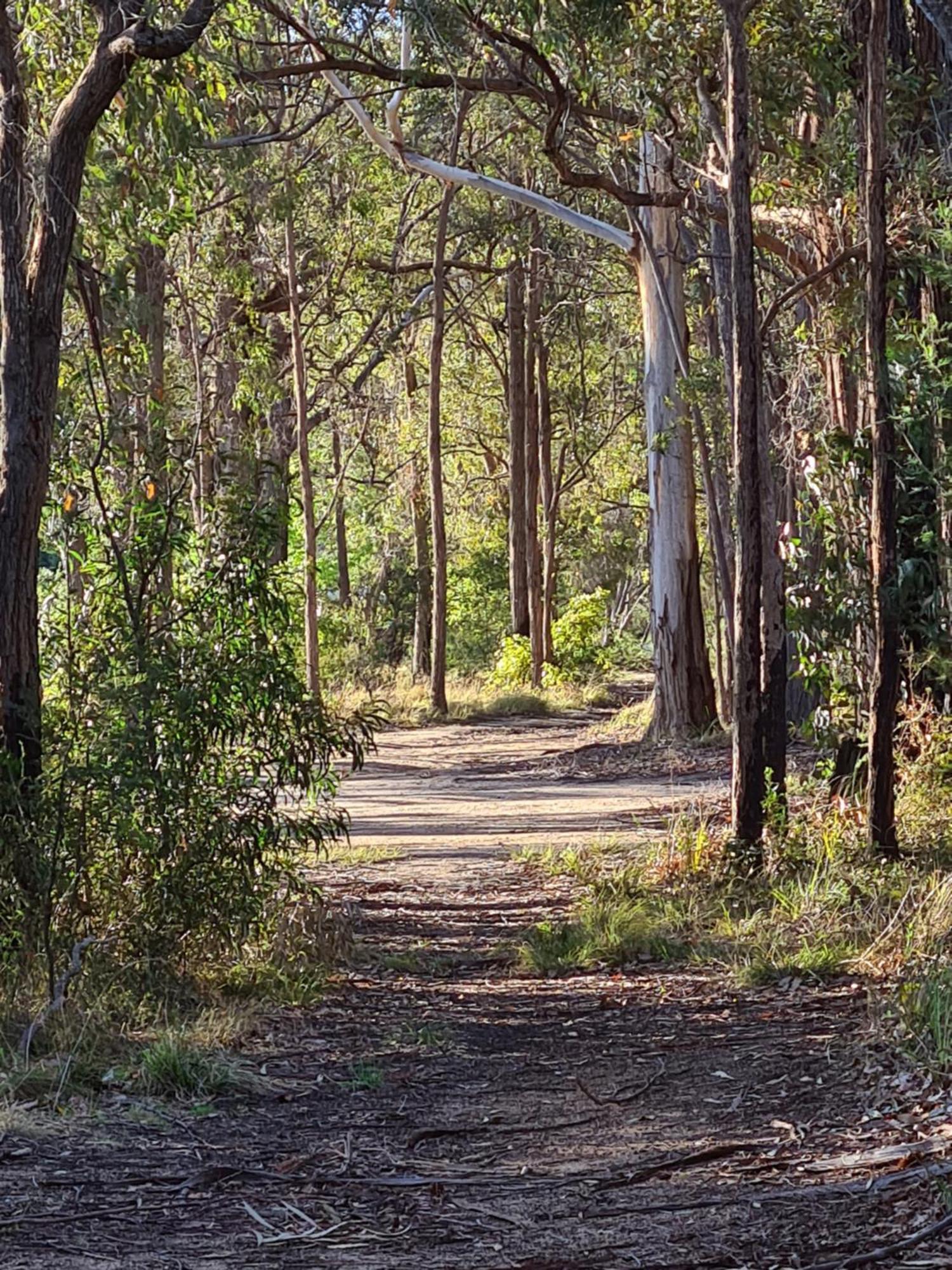 Mallacoota'S Shady Gully Caravan Park Exterior photo