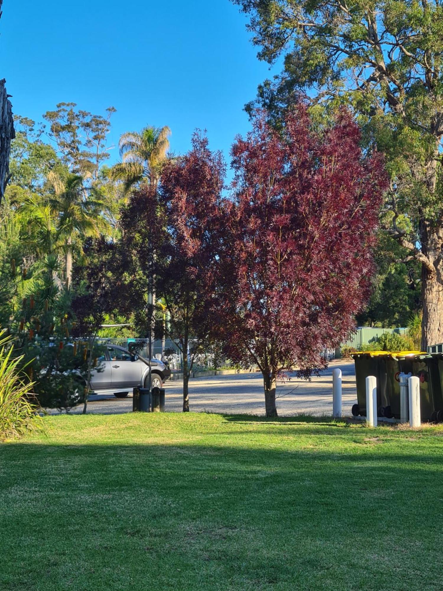 Mallacoota'S Shady Gully Caravan Park Exterior photo