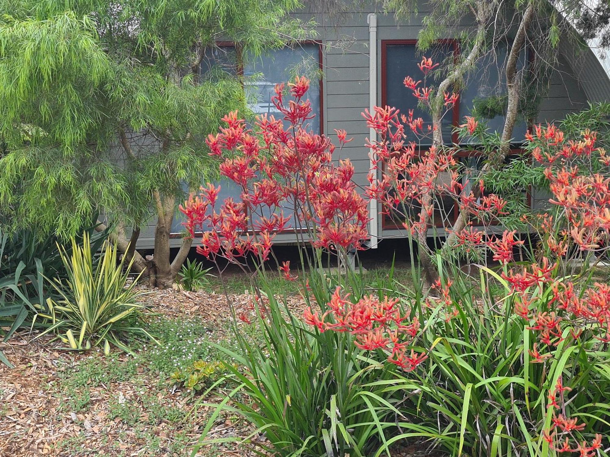 Mallacoota'S Shady Gully Caravan Park Exterior photo