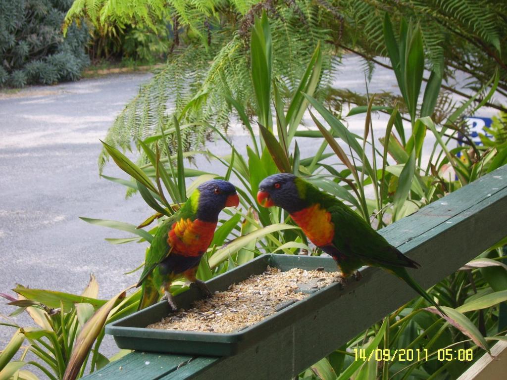 Mallacoota'S Shady Gully Caravan Park Exterior photo